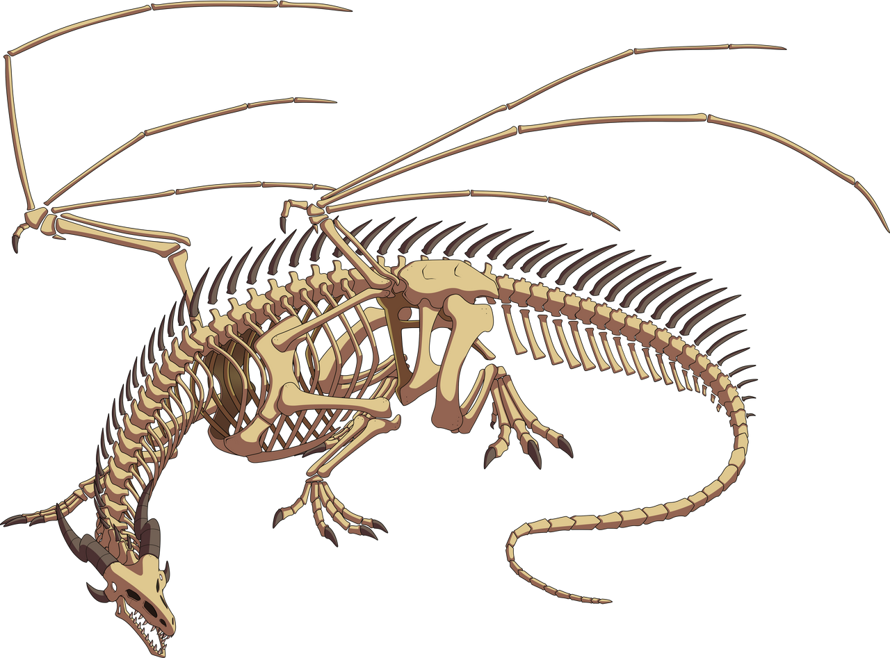 Db Skeleton Dragon Skeleton Redux by lordstevie1 on DeviantArt