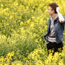 Canola Fields