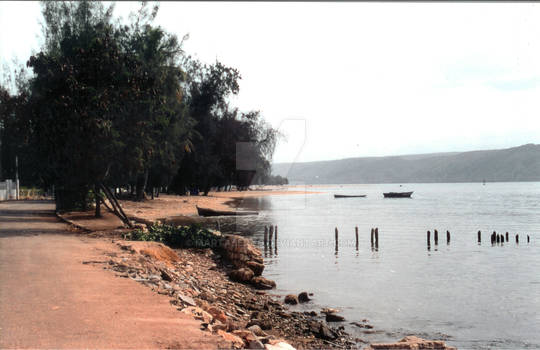 Sitting at the dock of the bay