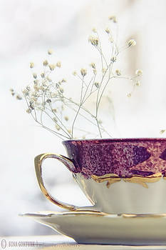 A Cup of Peace..