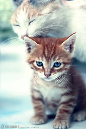 Clean Me Mom.. by pacificdreams Clean Me Mom.. by pacificdreams