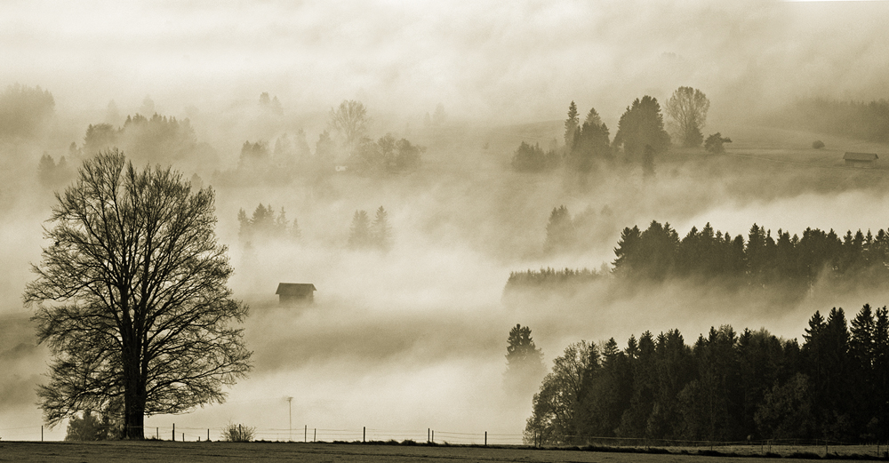 Bavarian morning