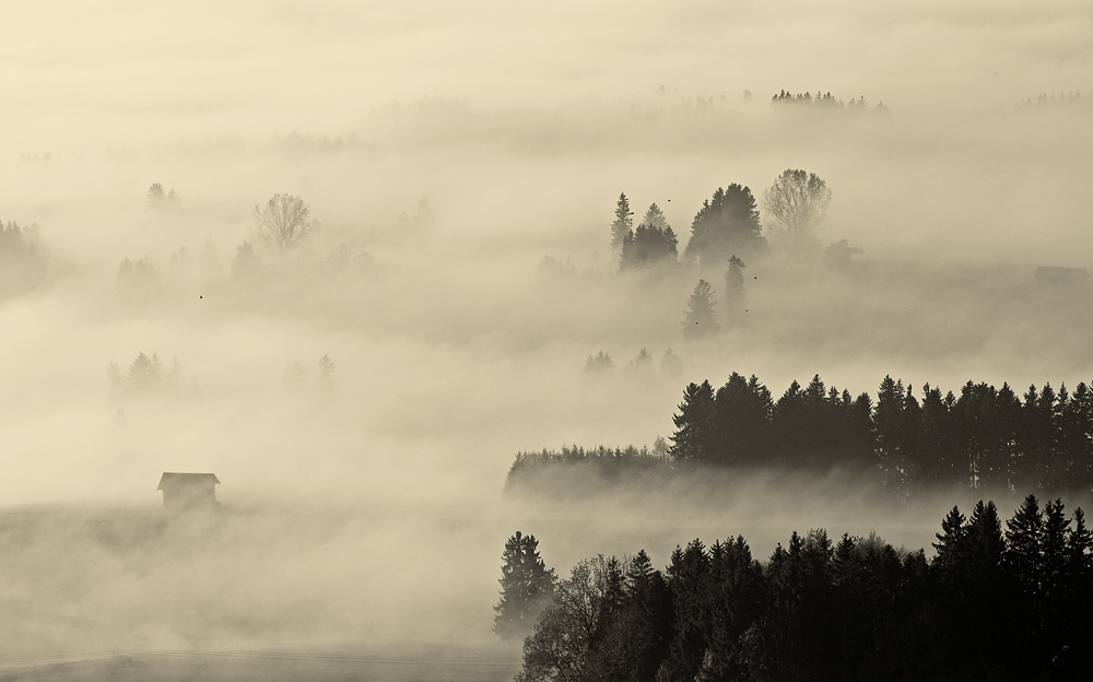 Bavarian morning IV