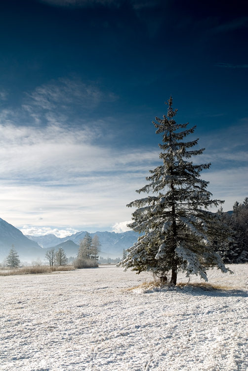 Winter Postcard