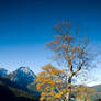 Alpine autumn