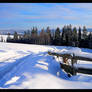 Winter Landscapes-POLAND