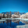 Infrared Lake