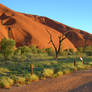 Uluru