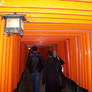 Tunnel of Torii