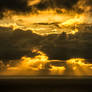 Stock-wolfworx-Sunrise-Imk59120