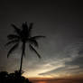 Sunset Under A Coconut Tree