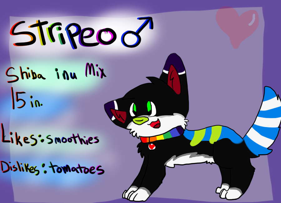 Stripeo ref