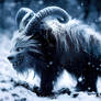 Fantasy Snow Wolf Concept