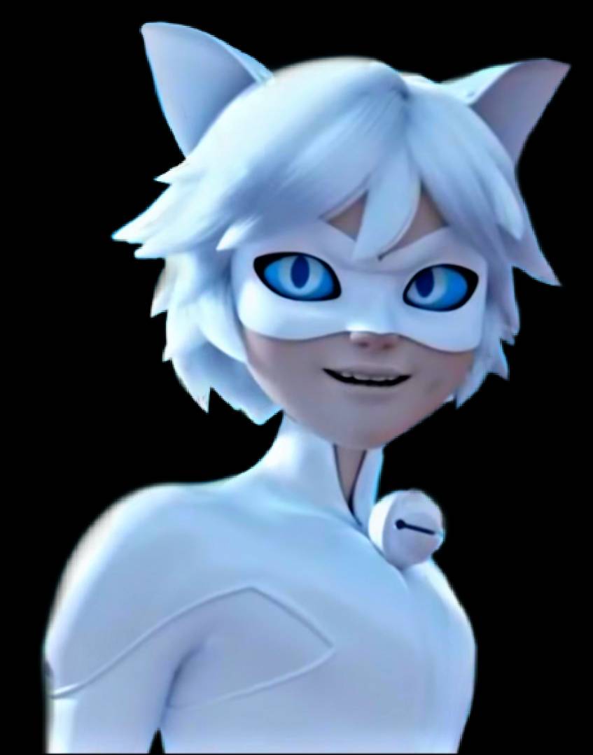 Chat Blanc Png By Hoplll On Deviantart Chat Blanc Png By Hoplll On Deviantart
