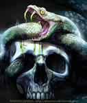 Skulls Snake by Adonis90