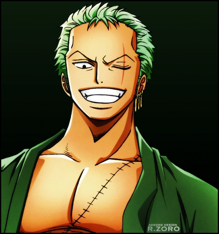 One Piece Roronoa Zoro –