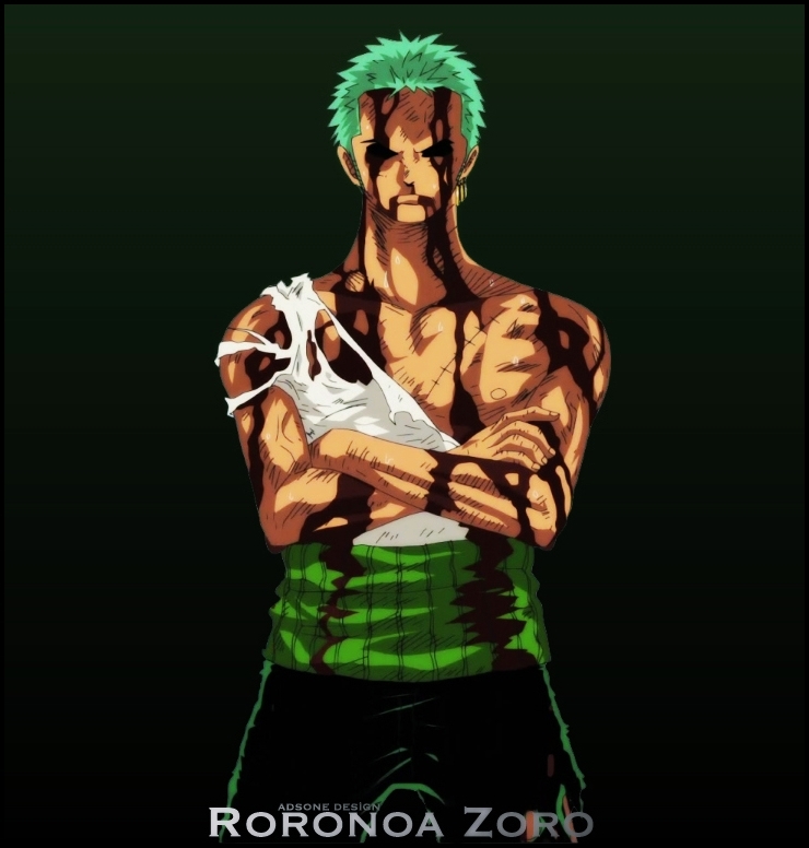 One Piece Roronoa Zoro 4