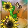 sunflowers-