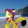 Marten at the beach