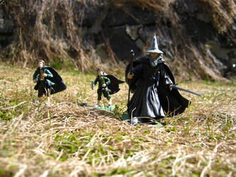 Lord of the rings