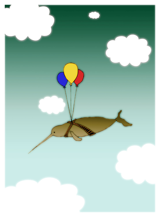 narwhal.