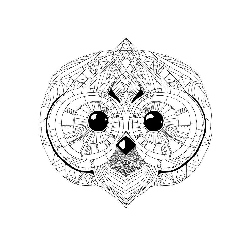 Cosmic Owl