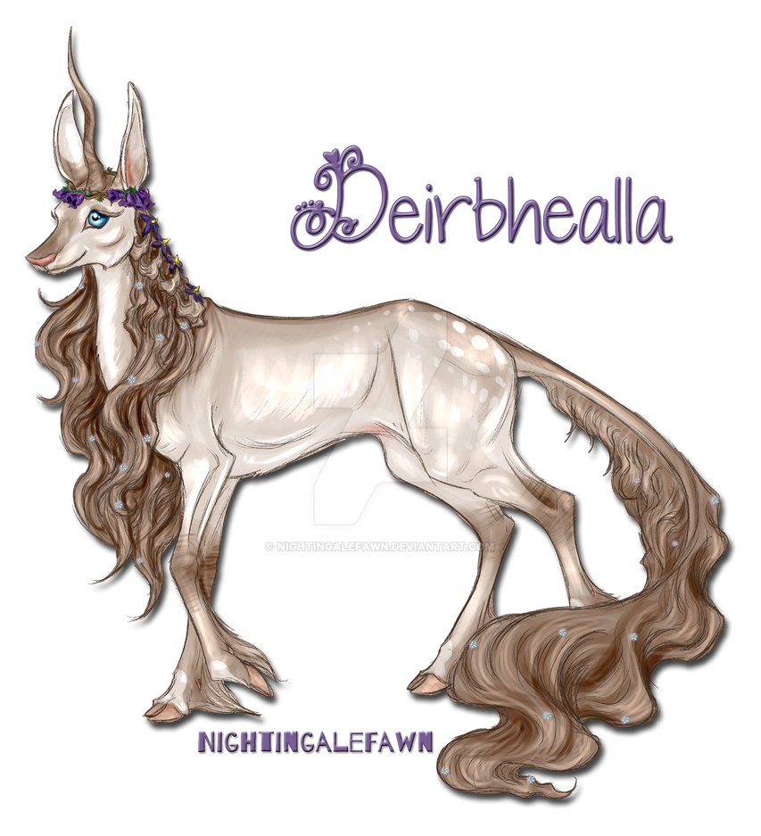 Deirbhealla | Doe | Glenmore Lady by NightingaleFawn