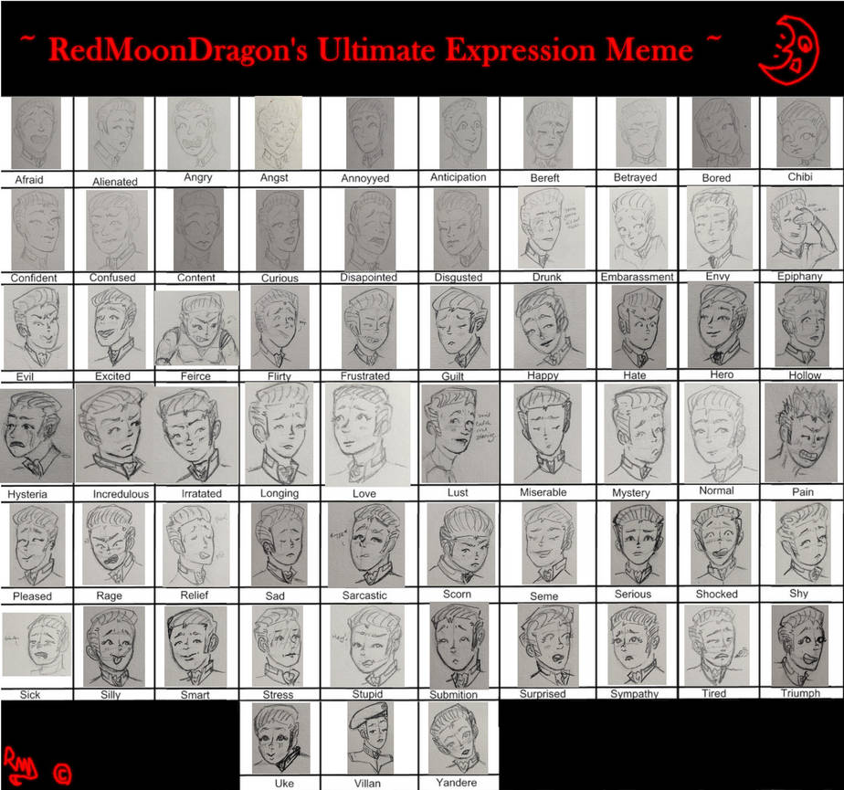 Rdm Meme RMD Ultimate Expression Meme by RedMoonDragon on DeviantArt