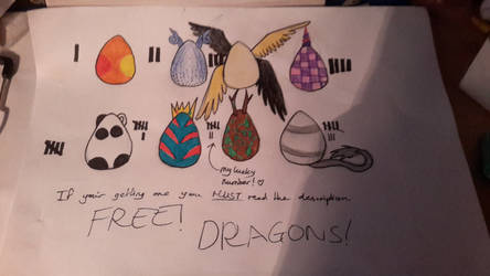 FREE DRAGON EGGS !