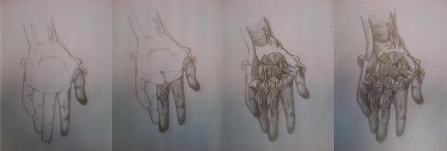 Hand Drawing Process process of drawing hand by Yukari371 on DeviantArt