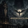 Newportmaeve.com