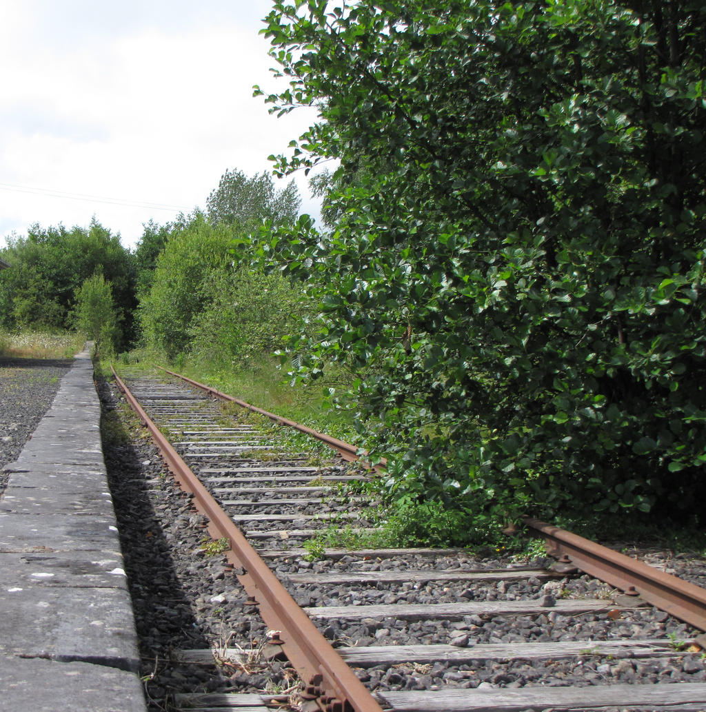 Abandoned Railway 1