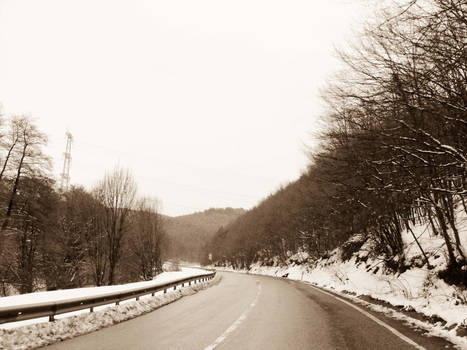 Road of whiteness