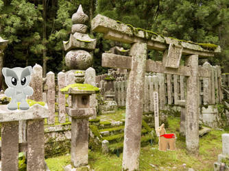 In japan visiting a shrine