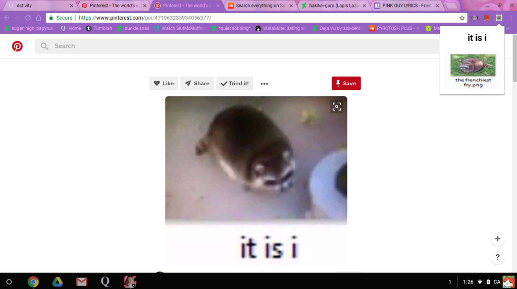 fat raccoon by CallMeYukari on DeviantArt