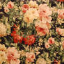 Floral Texture 2-Stock