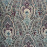 Paisley Texture 2-Stock