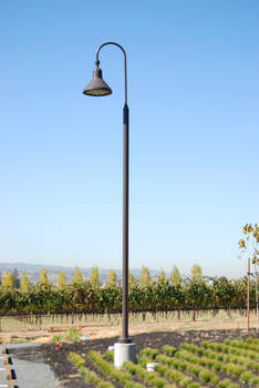 Street Light-Stock