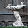 Bird Bath-Stock