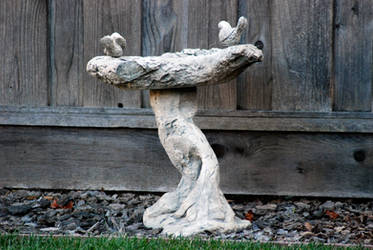 Bird Bath-Stock