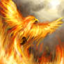 Pheonix Rising