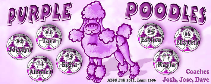 Purple poodles teambanner