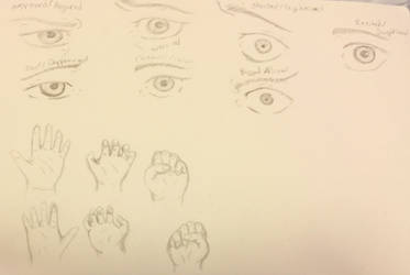 Eye and Hand Study