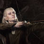 Legolas 1 - The Hobbit cosplay (test)