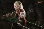 Legolas and Tauriel 1 - The Hobbit cosplay (test)