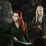 Legolas and Tauriel 2 - The Hobbit cosplay (test)