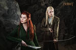 Legolas and Tauriel 2 - The Hobbit cosplay (test)