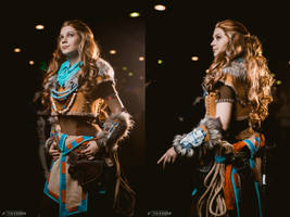 Aloy - Horizon: Zero Dawn cosplay