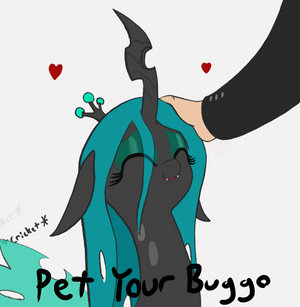 Pet Your Buggo