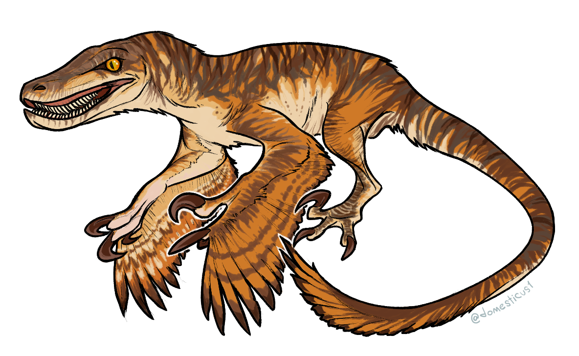 Feathered JP Raptor by T-Domesticus on DeviantArt